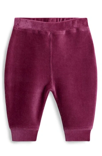 Jojo Maman Bébé Jojo Maman Bebe Fairy Mouse Cotton Blend Sweatshirt & Leggings Set In Purple