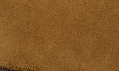 Tory Burch Classic Penny Loafer In Brown