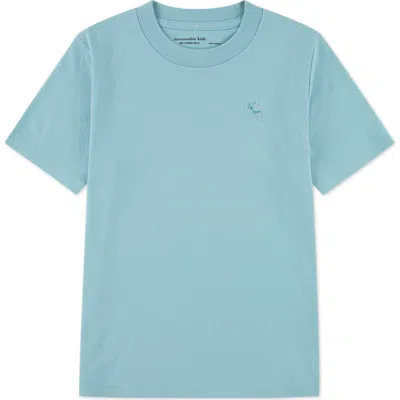 Abercrombie Kids Kids' Essential Cotton Blend T-shirt In Blue