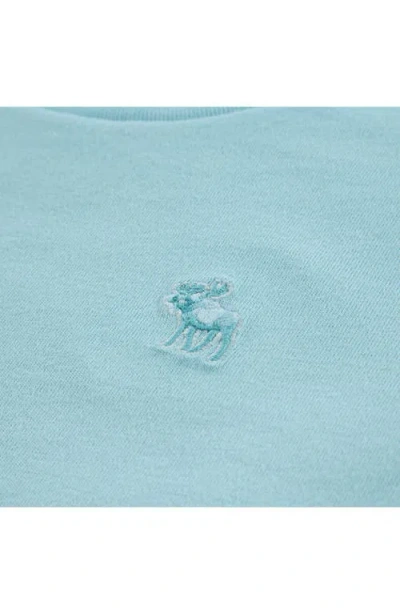 Abercrombie Kids Kids' Essential Cotton Blend T-shirt In Blue