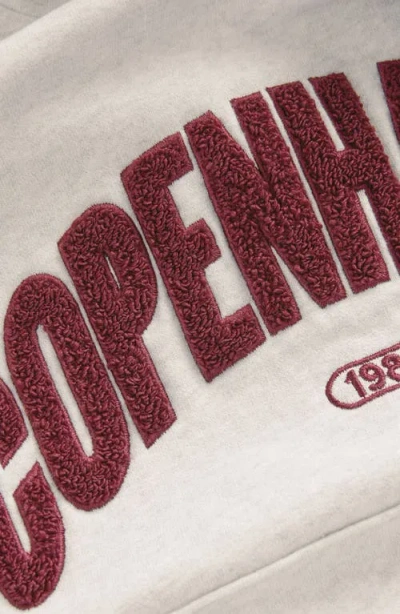 Next Kids' Copenhagen Cotton Blend Hoodie In Gray