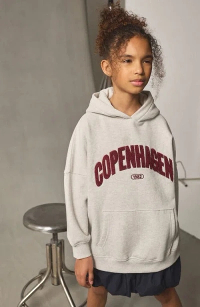 Next Kids' Copenhagen Cotton Blend Hoodie In Gray