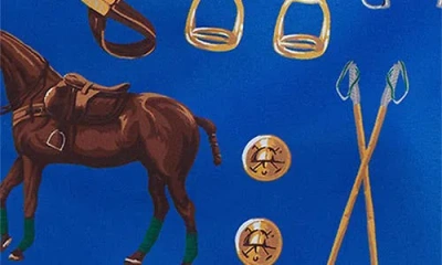 Polo Ralph Lauren Boys 2t-7 Traveler Big Pony Swim Trunks In Multi