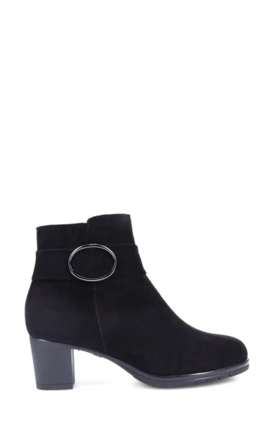 Ron White Rosalie Water Resistant Buckle Bootie In Purple