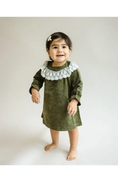 Cuclie Lace Collar Dress In Green