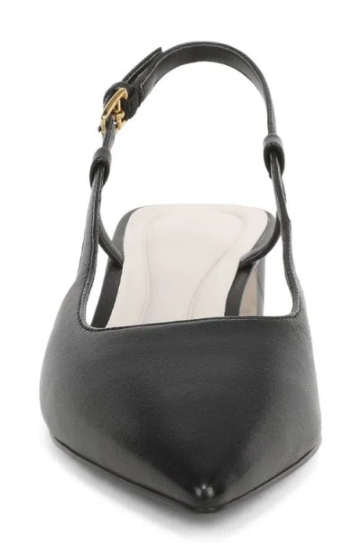 Sarto By Franco Sarto Amelie Slingback Pointed Toe Pump In Black