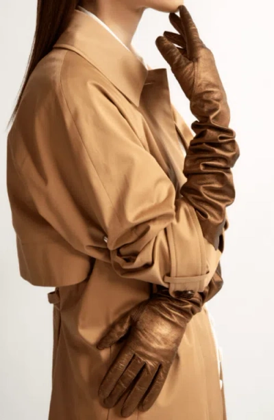 Seymoure Luxury Group Classic Runway Opera Glove In Brown