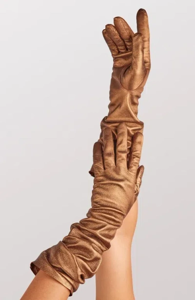 Seymoure Luxury Group Classic Runway Opera Glove In Brown