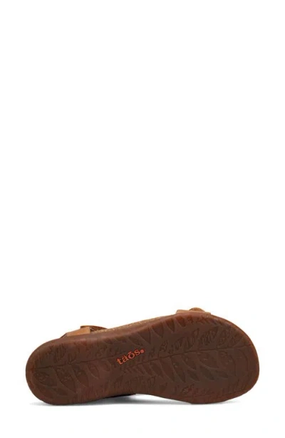 Taos Wonderful Ankle Strap Sandal In Brown