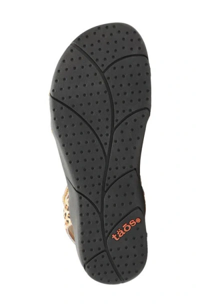 Taos Trophy 2 Sandal In Brown