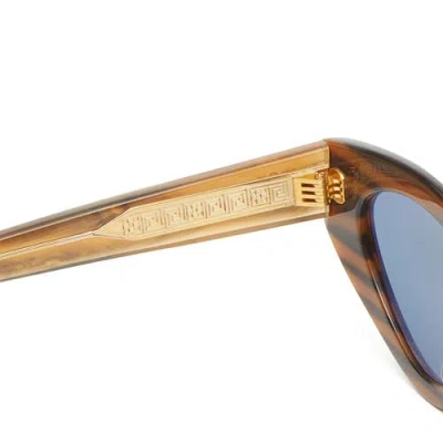 Vada Catfish Sunglasses In Brown