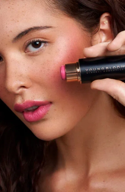 Youngblood Mineral Cosmetics Vividluxe Crème Blush Stick In Pink