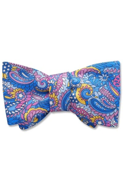 Beau Ties Of Vermont Clarkia Bow Tie In Blue
