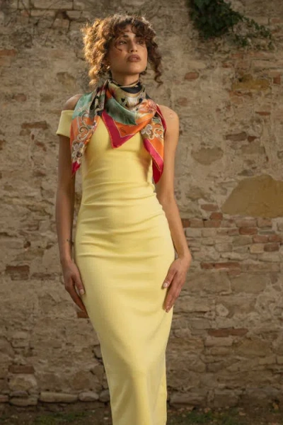 Elizabetta Ibisco In Multi