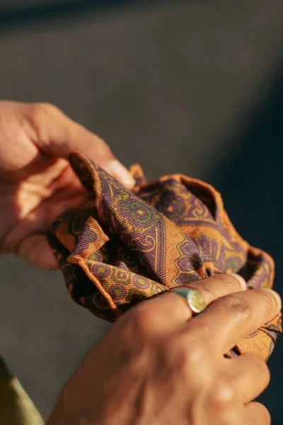 Elizabetta Lario In Brown