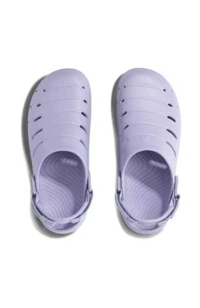 Rugged Shark Ladies Cove Clogs In Blue