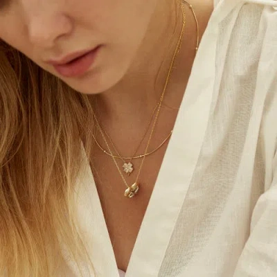 Spero London Four Leaf Clover Sterling Silver Necklace In Gold