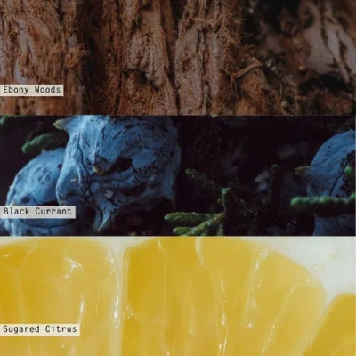 Illume ® Vanity Tin Candle In Blue