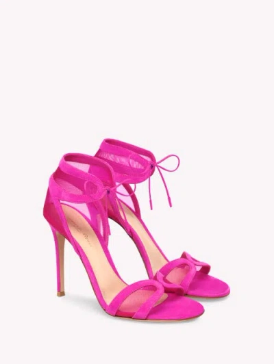 Gianvito Rossi Falene Sandals In Pink