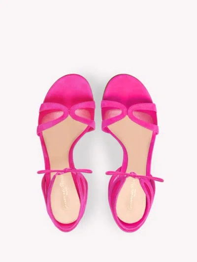 Gianvito Rossi Falene Sandals In Pink