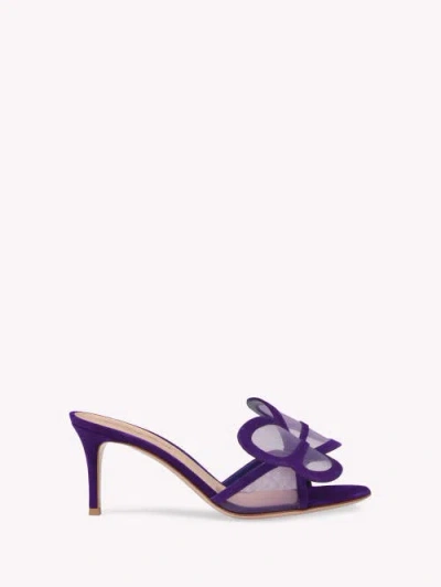 Gianvito Rossi Ilia Mules In Purple