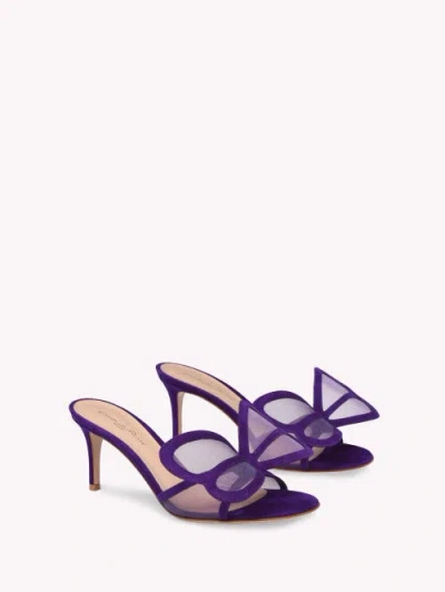 Gianvito Rossi Ilia Mules In Purple