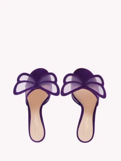 Gianvito Rossi Ilia Mules In Purple
