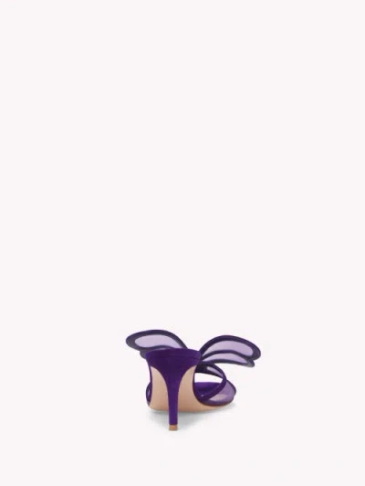 Gianvito Rossi Ilia Mules In Purple