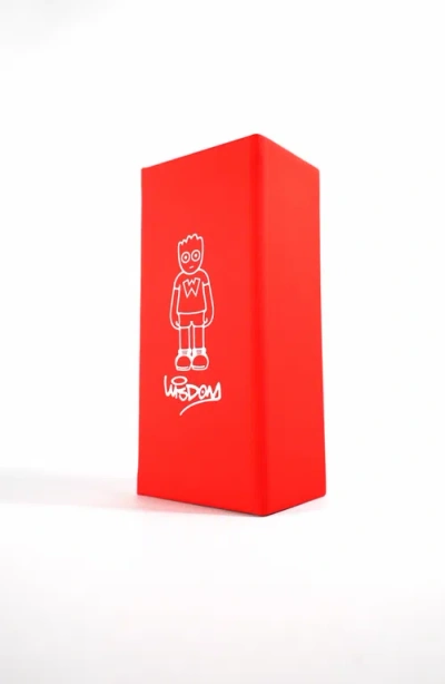 Wisdom Fashion House Silver Wire Frame 25 Glasses In Silver