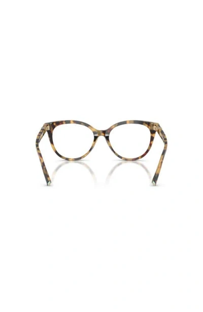 Tiffany & Co . 53mm Cat Eye Optical Glasses In Brown