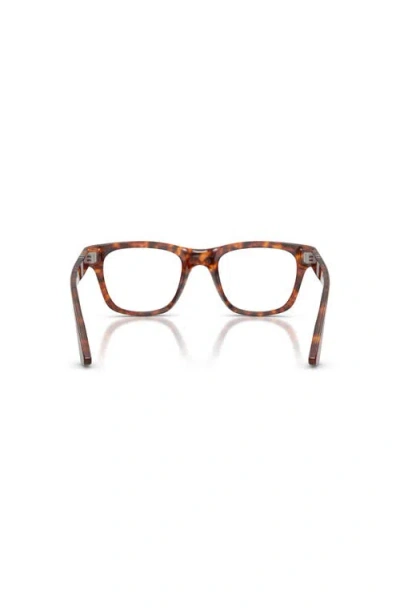 Persol 51mm Square Optical Glasses In Brown