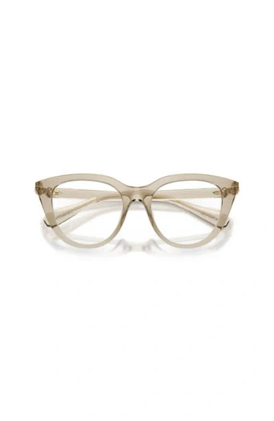 Swarovski 49mm Cat Eye Optical Glasses In Neutral
