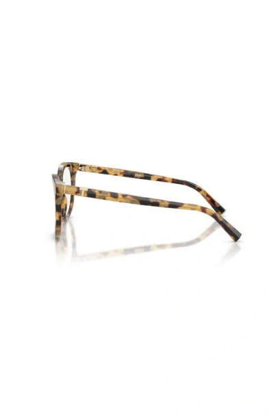 Tiffany & Co . 51mm Cat Eye Optical Glasses In Brown
