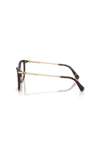 Swarovski 53mm Cat Eye Optical Glasses In Brown
