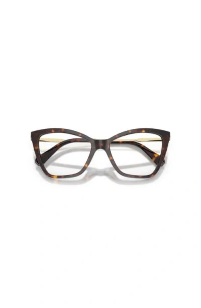 Swarovski 53mm Cat Eye Optical Glasses In Brown