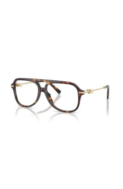 Tiffany & Co . 56mm Pilot Optical Glasses In Brown
