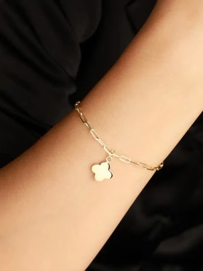 Devata Clover Charm With Paperclip Chain Bracelet In Multi