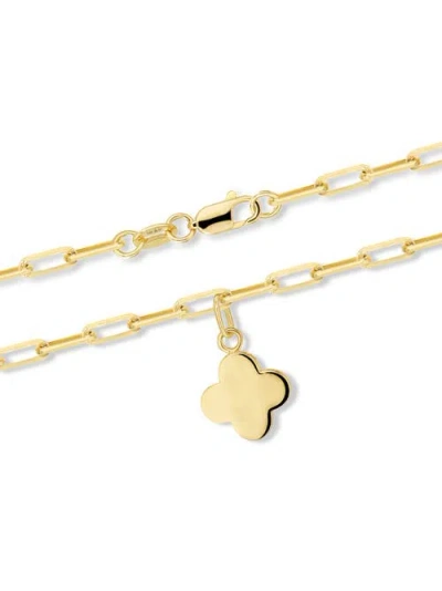 Devata Clover Charm With Paperclip Chain Bracelet In Multi