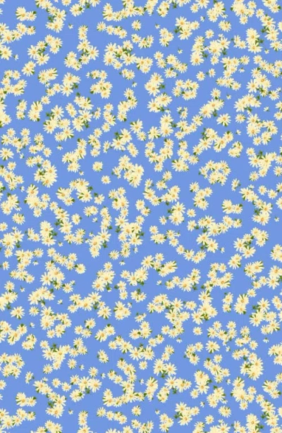 The Cat's Pajamas Pima Knit Short Sleeved Simple Set Floral In Blue