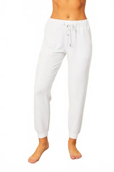 Angel Apparel Jogger Pants In White In White