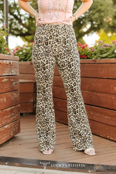 Lucky & Blessed Women's Leopard High Rise Flare Jean In Multi In Multi