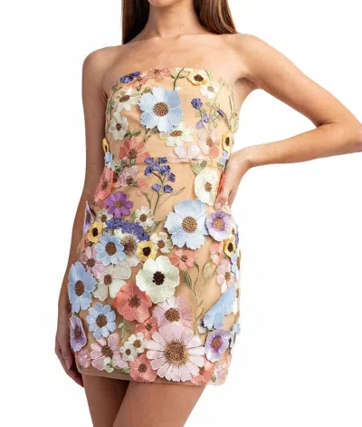 Edit By Nine Emelia 3d Floral Lace Mini Dress In Multi Flower In Multi