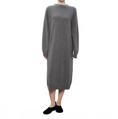 Sofie D'hoore Martin Crew Neck Cashmere Dress In Mid Grey In Gray