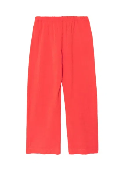 Xirena Women's Delany Pants In Fire Cracker In Orange