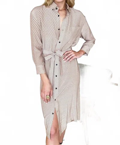 Emerson Fry Ry Shirtdress In Idun Stripes Ginger Polar In Neutral