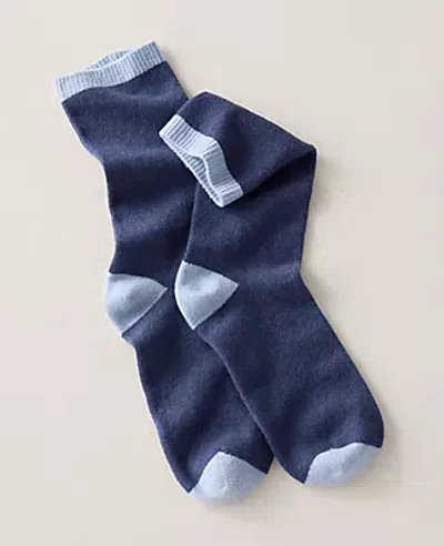 Ann Taylor Haven Well Within Cashmere Colorblock Socks