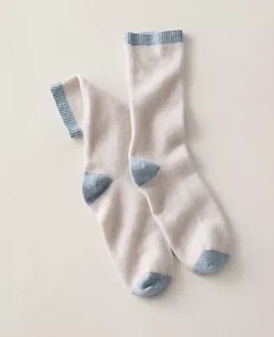 Ann Taylor Haven Well Within Cashmere Colorblock Socks