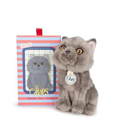 Bon Ton Toys Bt Chaps Freddy The British Shorthair Floppy In Giftbox Plush - Ages 5-7 Years In Multi