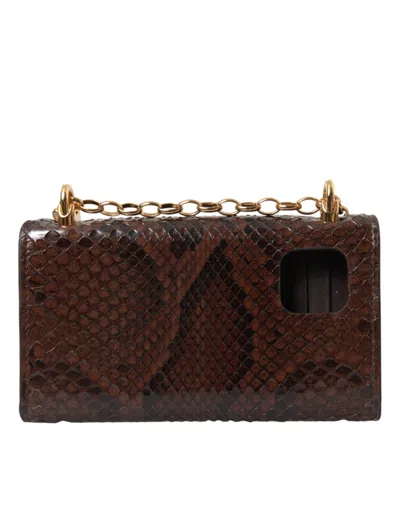 Dolce & Gabbana Brown Python Leather Dg Girls Crossbody Phone Women's Bag In Brown