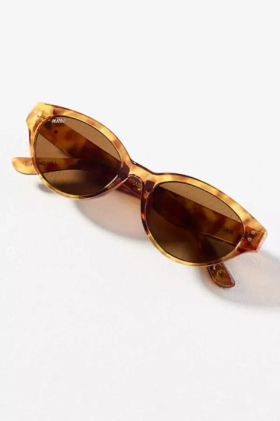 Reality Eyewear Notting Hill Sunglasses In Brown